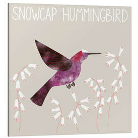 Obraz na aluminium Snowcap Hummingbird - Nic Squirrell