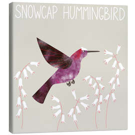 Leinwandbild Snowcap Hummingbird - Nic Squirrell