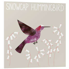 Hartschaumbild Snowcap Hummingbird - Nic Squirrell