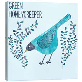 Lienzo Green Honeycreeper - Nic Squirrell