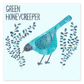 Wall print Green Honeycreeper - Nic Squirrell