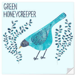 Wandsticker Green Honeycreeper - Nic Squirrell