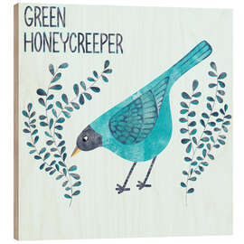 Wood print Green Honeycreeper - Nic Squirrell