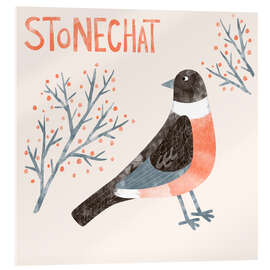 Acrylic print Stonechat - Nic Squirrell