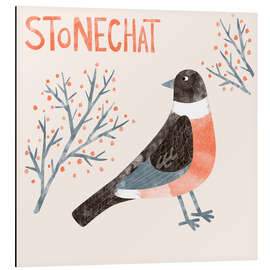 Obraz na aluminium Stonechat - Nic Squirrell