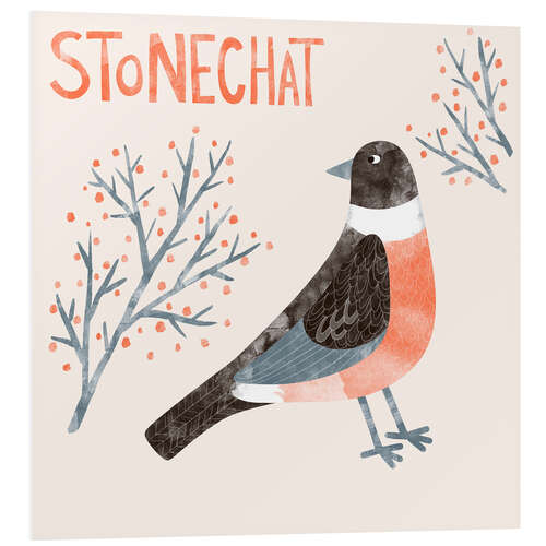 Quadro em PVC Stonechat