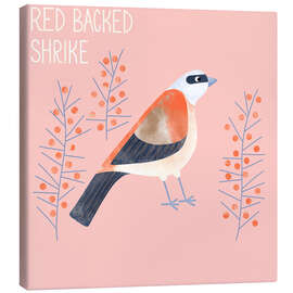 Canvas print Red Backed Shrike - Nic Squirrell