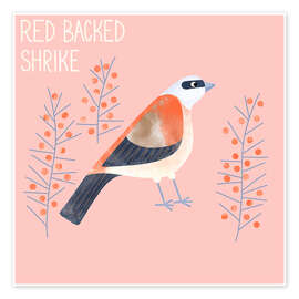 Wall print Red Backed Shrike - Nic Squirrell