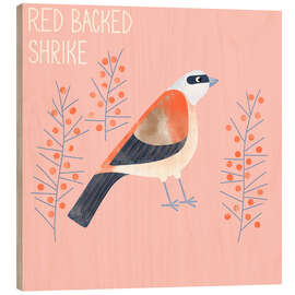 Wood print Red Backed Shrike - Nic Squirrell