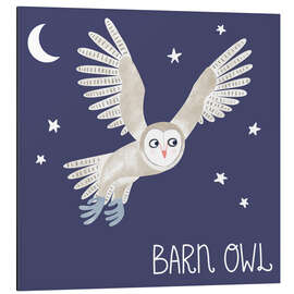 Aluminium print Barn Owl - Nic Squirrell