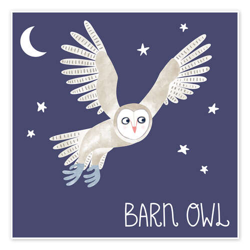 Poster Barn Owl