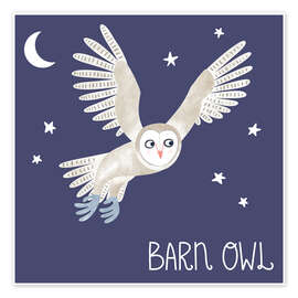 Wall print Barn Owl - Nic Squirrell