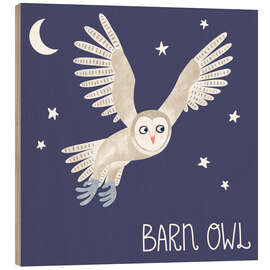 Puutaulu Barn Owl - Nic Squirrell