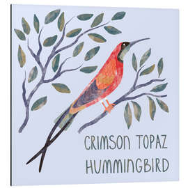 Alubild Crimson Topaz Hummingbird - Nic Squirrell