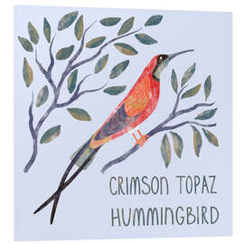 Hartschaumbild Crimson Topaz Hummingbird - Nic Squirrell