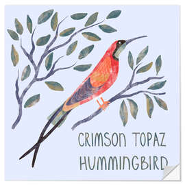 Autocolante decorativo Crimson Topaz Hummingbird - Nic Squirrell