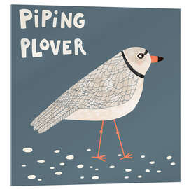 Acrylic print Piping Plover - Nic Squirrell