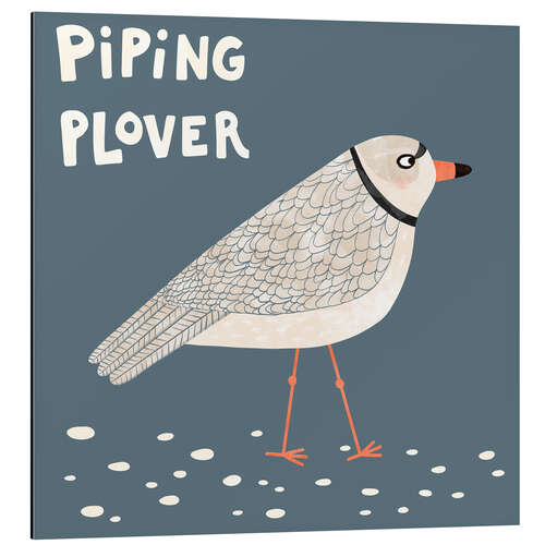 Cuadro de aluminio Piping Plover