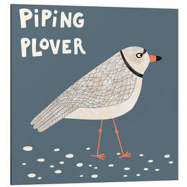 Cuadro de aluminio Piping Plover - Nic Squirrell