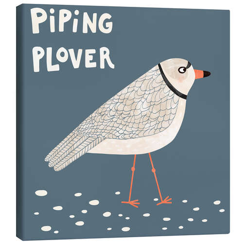 Lærredsbillede Piping Plover