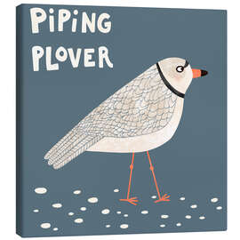 Canvas print Piping Plover - Nic Squirrell