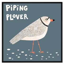 Gerahmter Kunstdruck Piping Plover