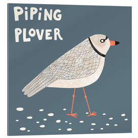 Gallery Print Piping Plover