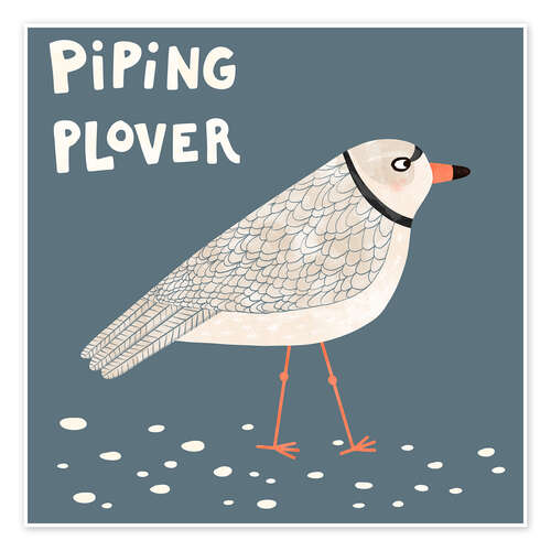 Poster Piping Plover