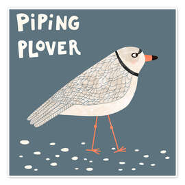 Wall print Piping Plover - Nic Squirrell