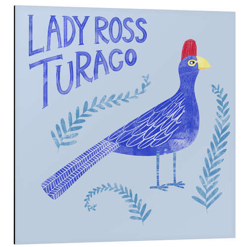 Cuadro de aluminio Lady Ross Turaco
