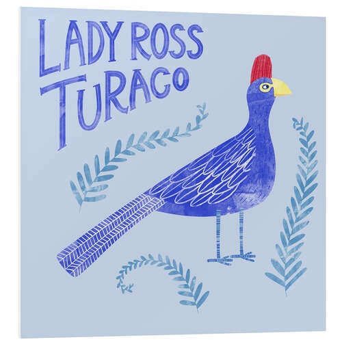 Quadro em PVC Lady Ross Turaco