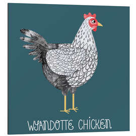 Cuadro de aluminio Wyandotte Chicken - Nic Squirrell
