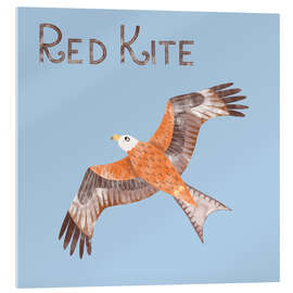 Acrylglasbild Red Kite - Nic Squirrell