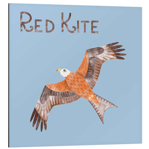 Aluminium print Red Kite