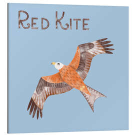 Aluminium print Red Kite - Nic Squirrell