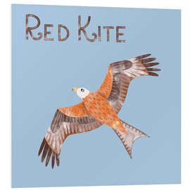 Hartschaumbild Red Kite - Nic Squirrell