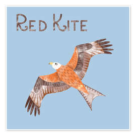 Wall print Red Kite - Nic Squirrell