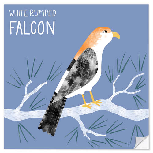 Vinilo para la pared White Rumped Falcon