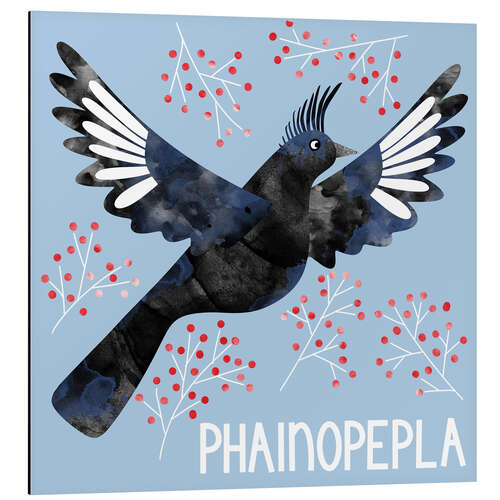 Cuadro de aluminio Phainopepla