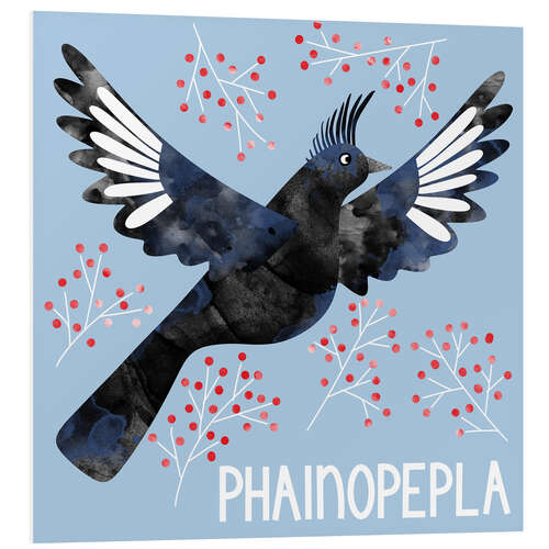 Quadro em PVC Phainopepla