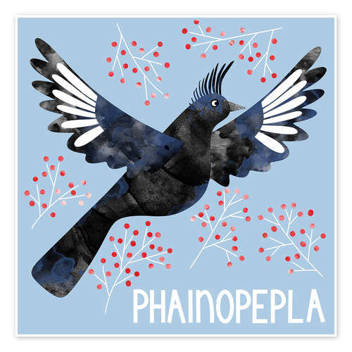 Poster Phainopepla