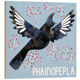Wood print Phainopepla - Nic Squirrell