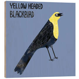 Wood print Yellow Headed Blackbird - Nic Squirrell