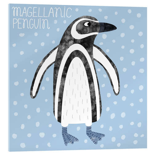 Acrylic print Magellanic Penguin
