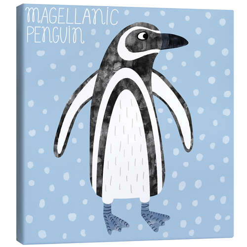 Canvas print Magellanic Penguin