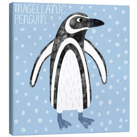 Canvas print Magellanic Penguin - Nic Squirrell