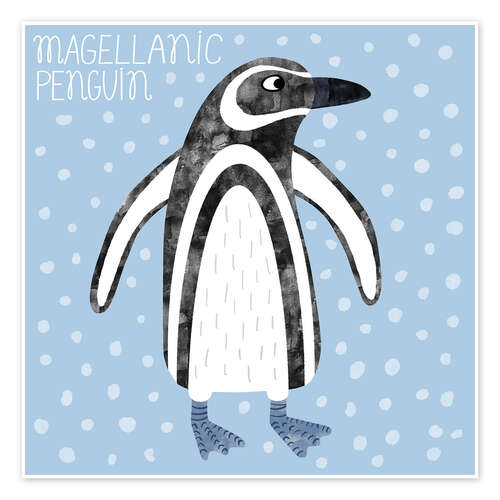 Poster Magellanic Penguin