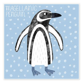 Wall print Magellanic Penguin - Nic Squirrell