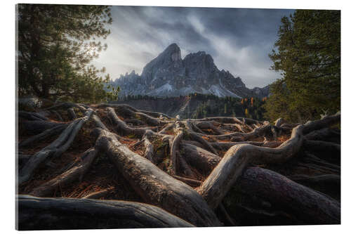 Quadro em acrílico Rooted in the Dolomites