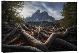 Canvas print Rooted in the Dolomites - Martin Podt